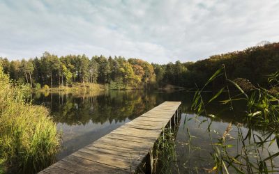 A & R Blog 2 The Science Behind the Law of Attraction: Unveiling the Power of Energy and Thought